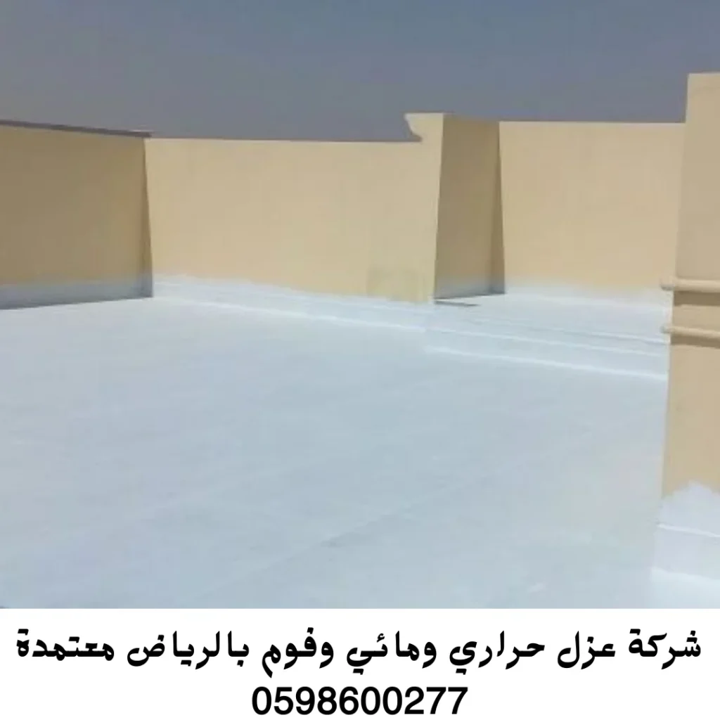 شركة عزل اسطح بالرياض
