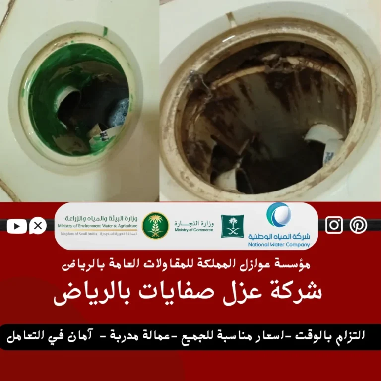 شركة عزل صفايات